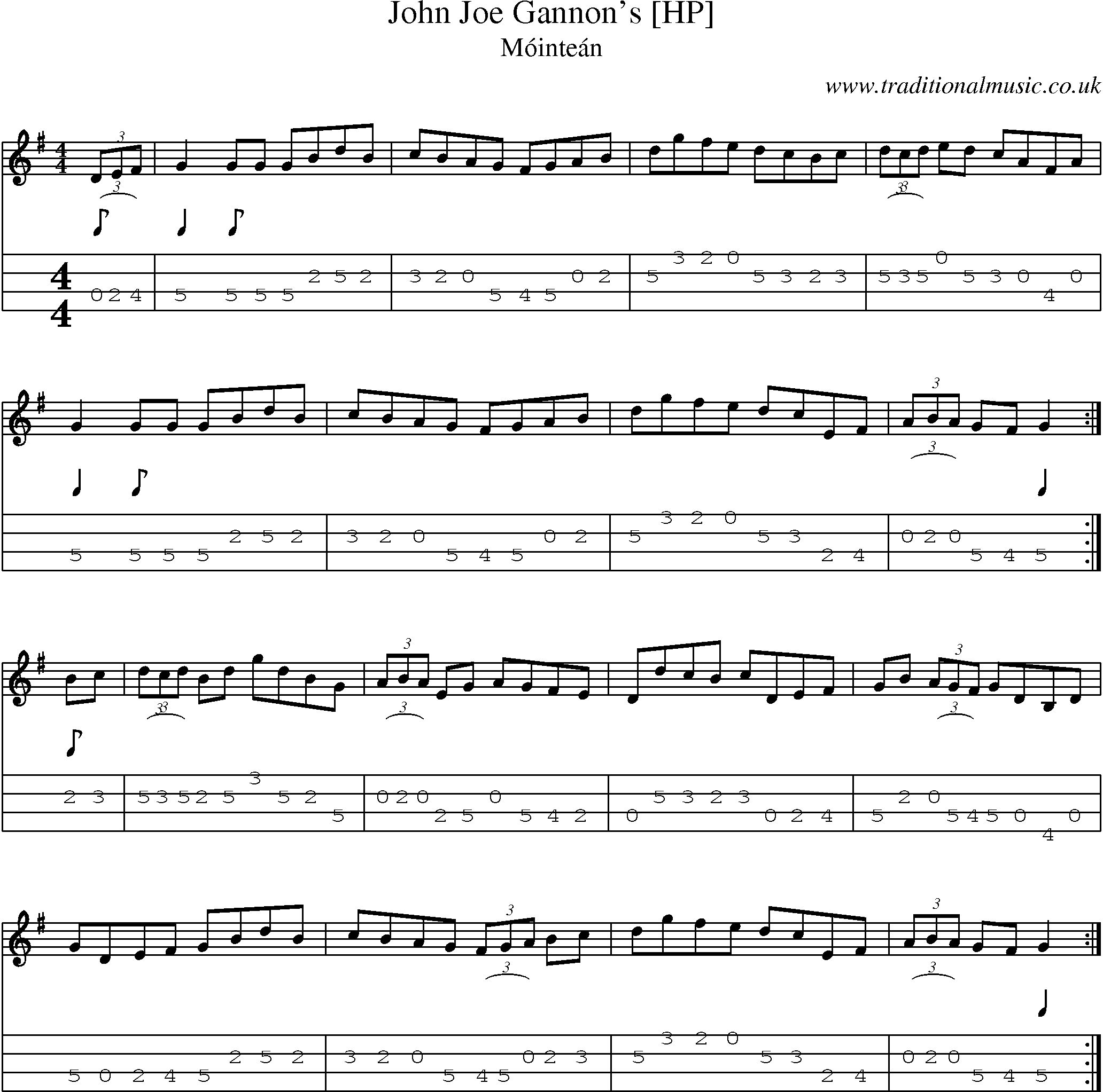 Music Score and Mandolin Tabs for John Joe Gannons []